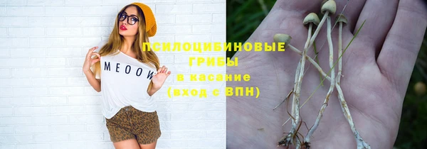 гашик Балабаново