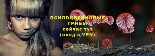 гашик Балабаново