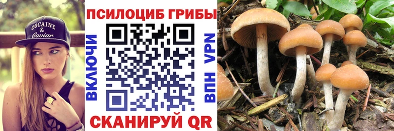Псилоцибиновые грибы MAGIC MUSHROOMS darknet формула Хилок